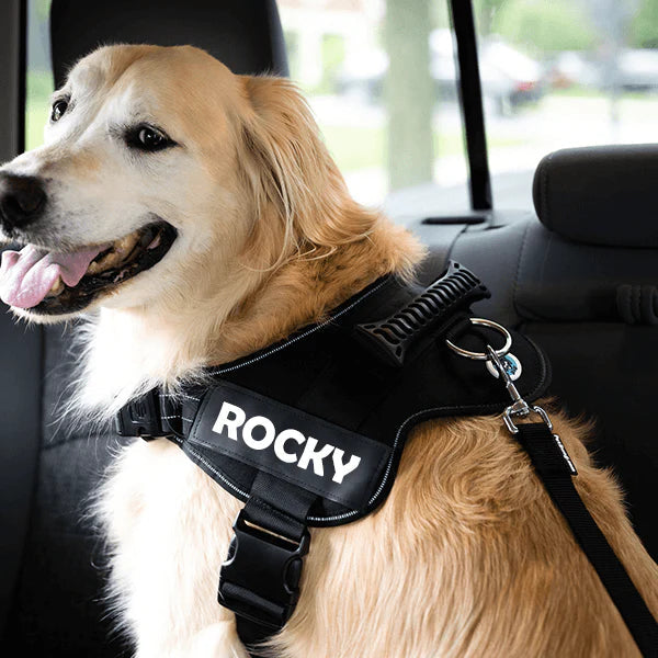 Adjustable Dog Safety Seat Belt - Franco Gadgets