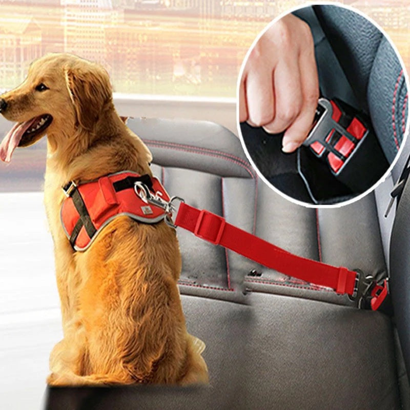 Adjustable Dog Safety Seat Belt - Franco Gadgets